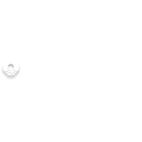 The Optum Group